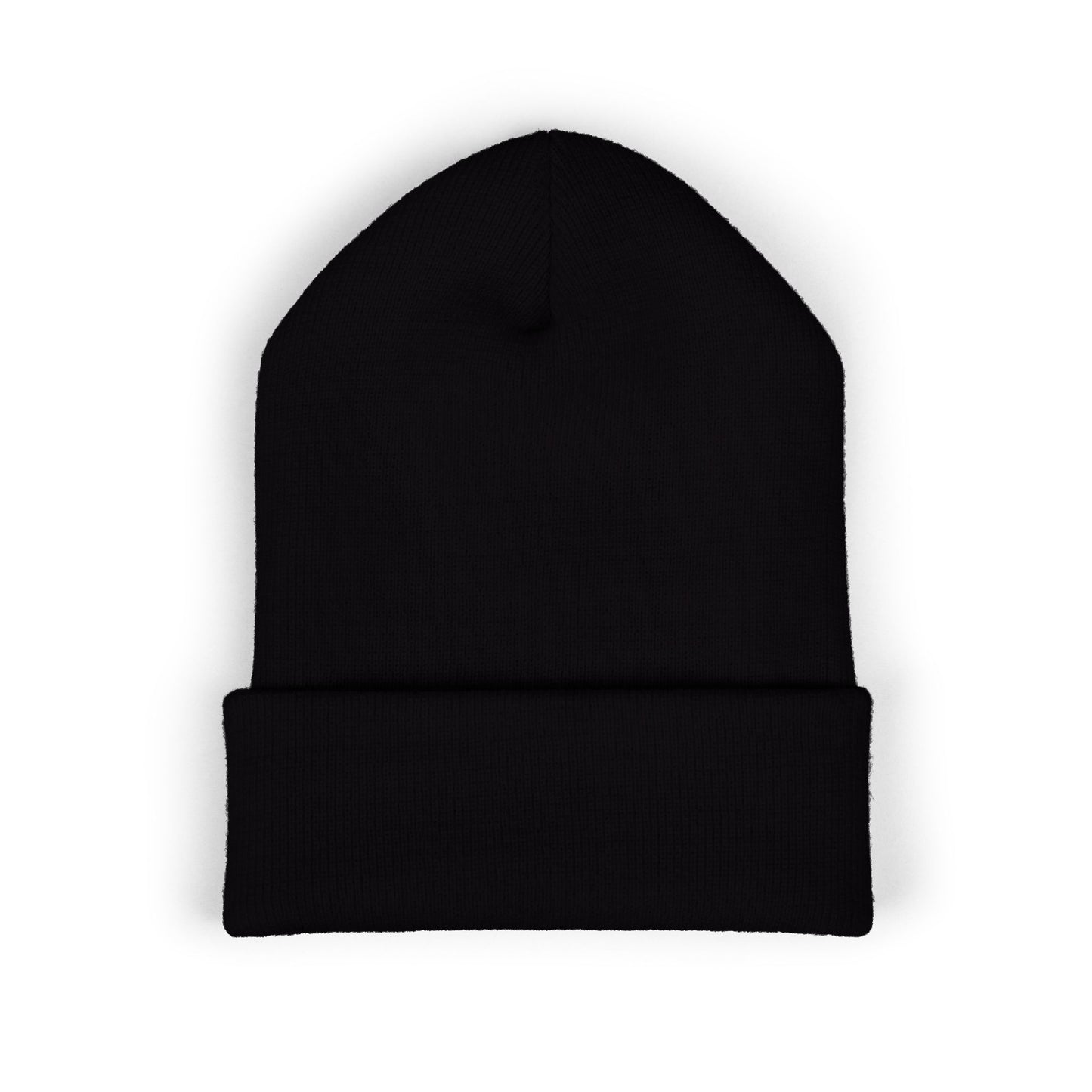 TFS LOGO BEANIE
