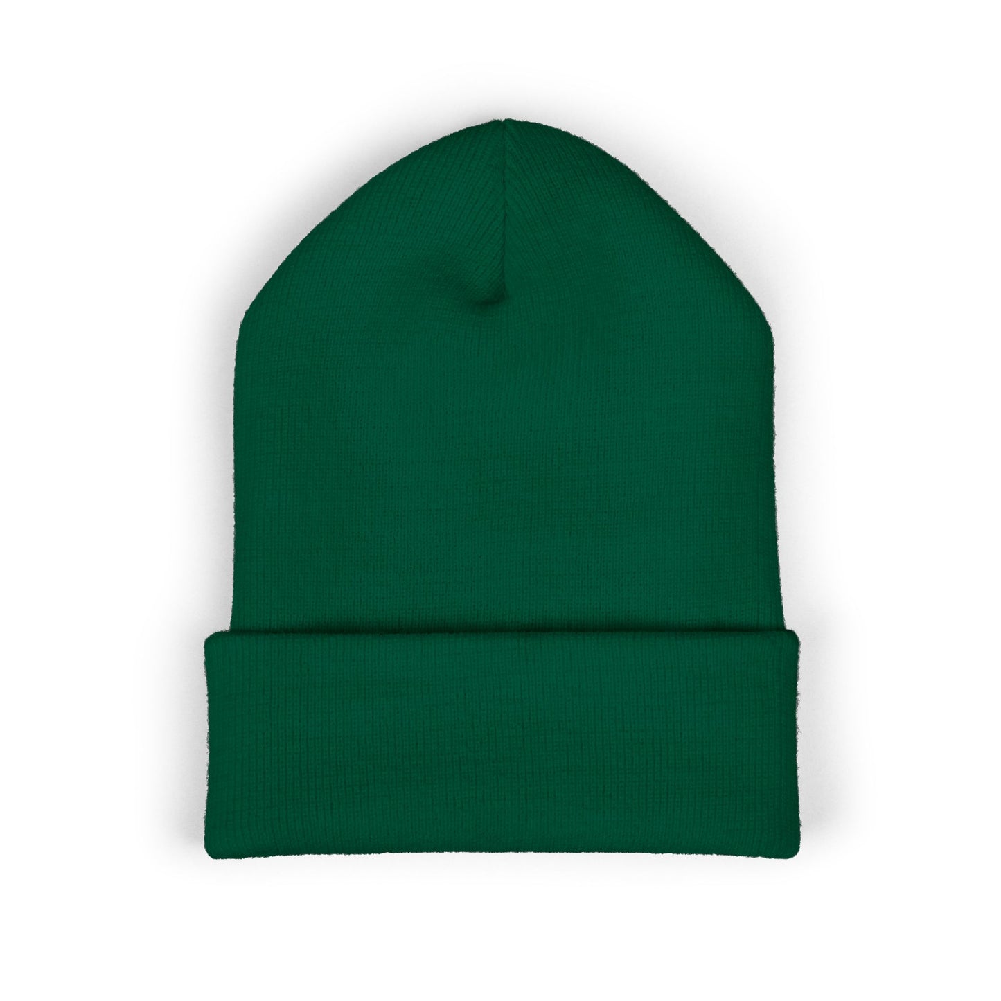 TFS LOGO BEANIE
