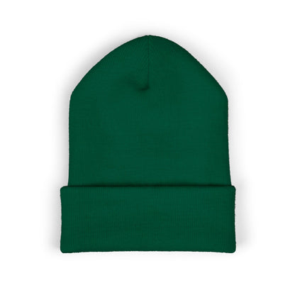 TFS LOGO BEANIE