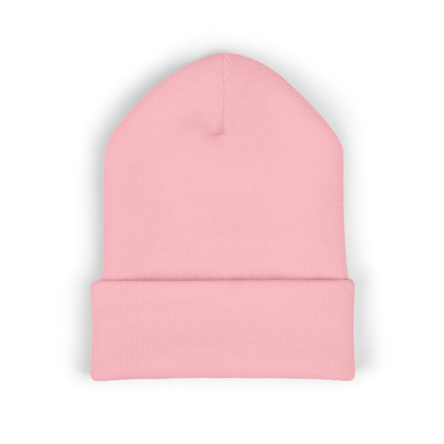 TFS LOGO BEANIE