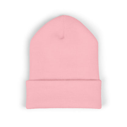 TFS LOGO BEANIE