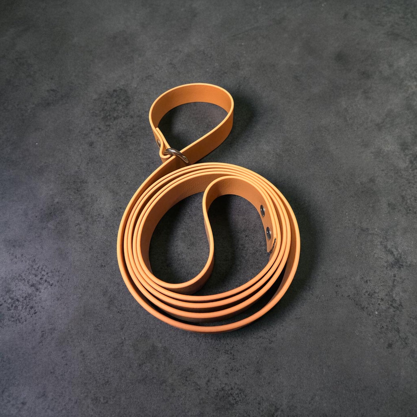 SLIP LEAD