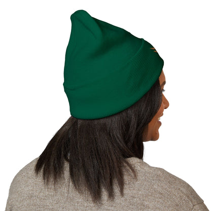 TFS LOGO BEANIE