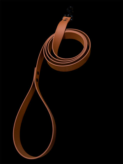LEASH
