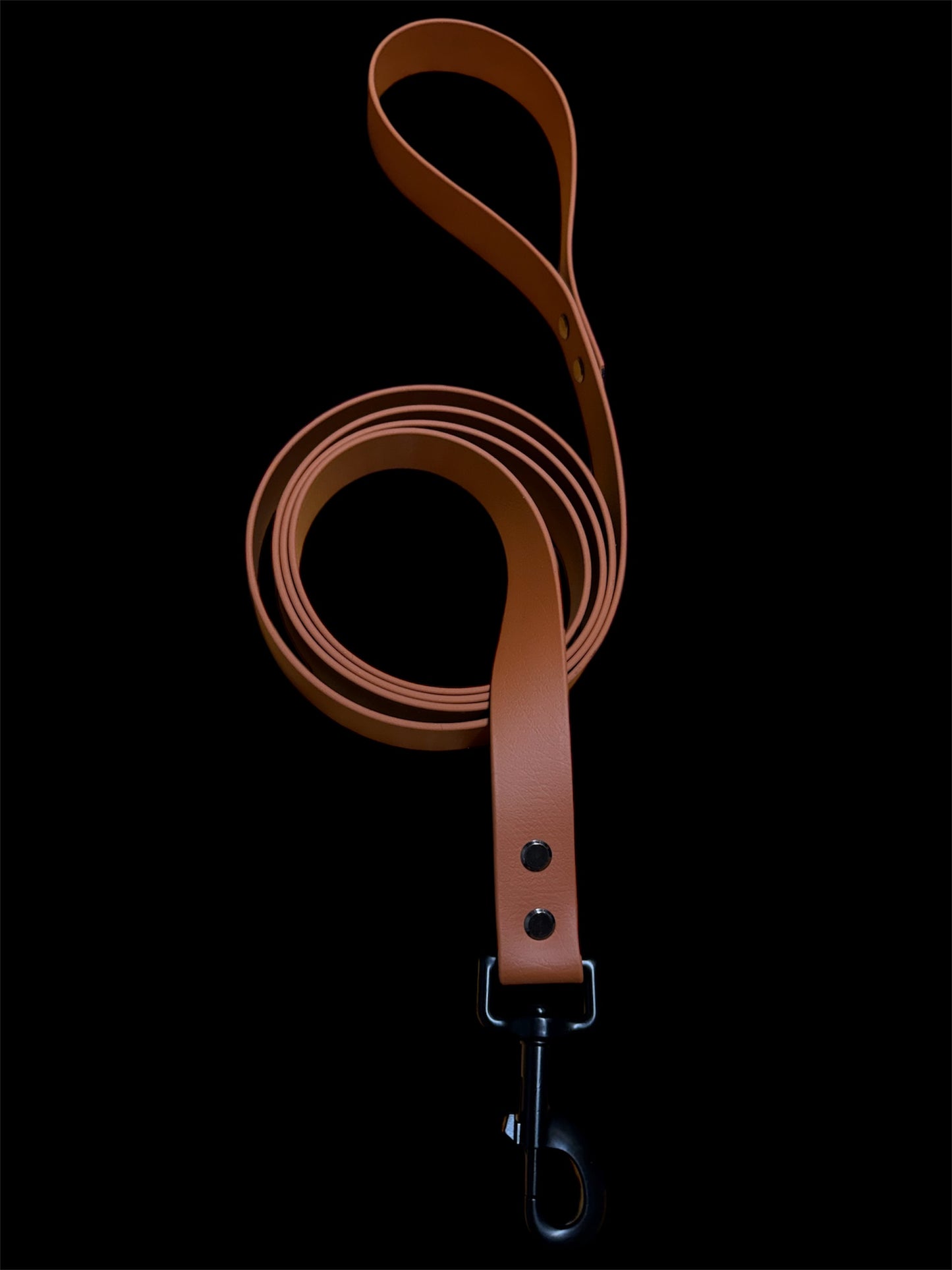 LEASH
