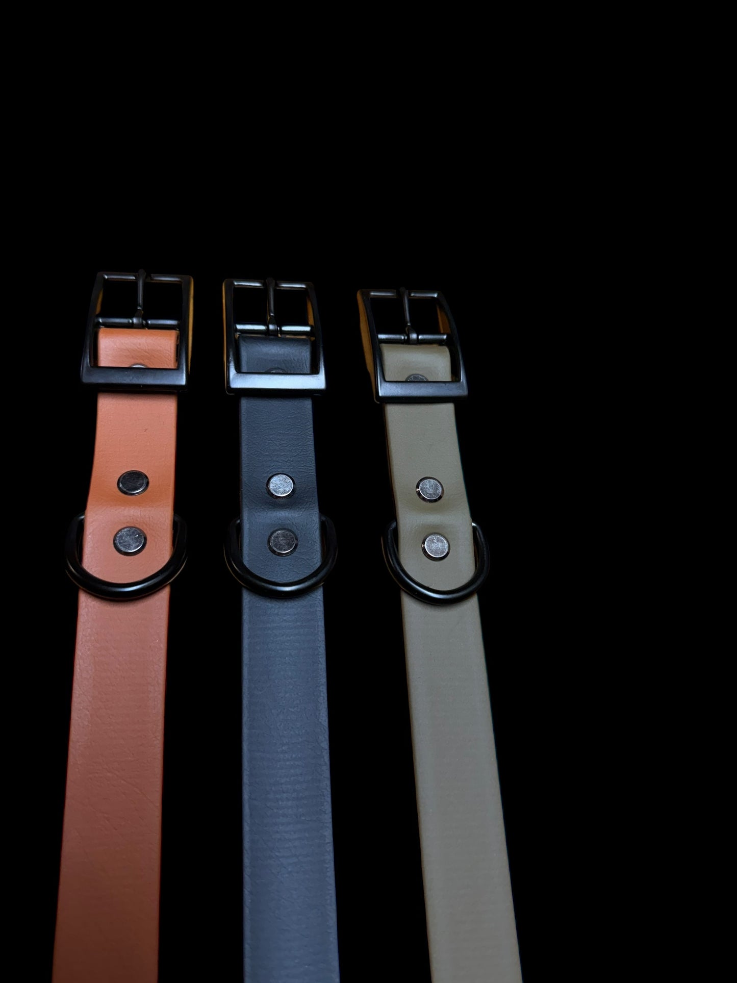 Dog Collar