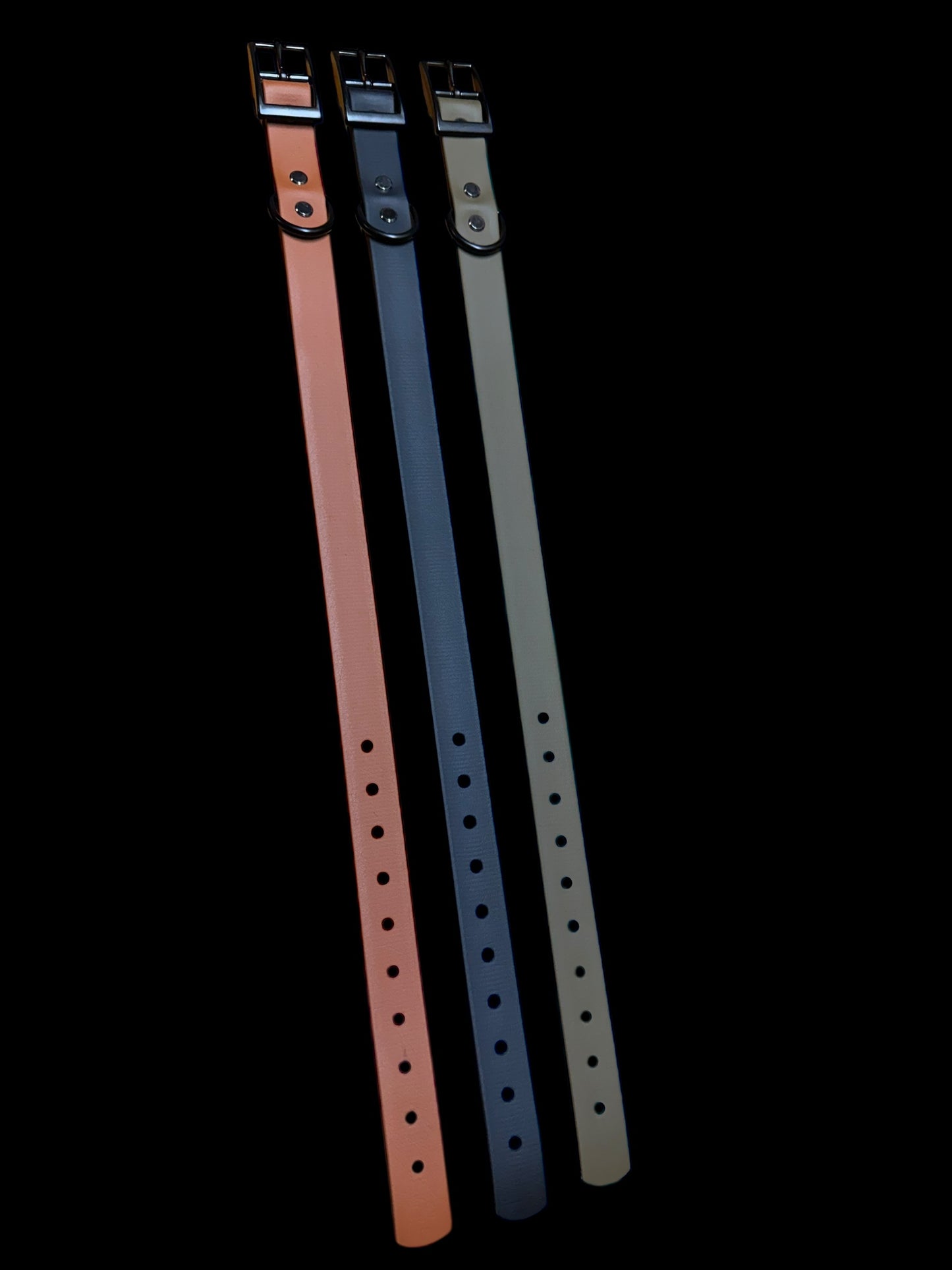 Dog Collar