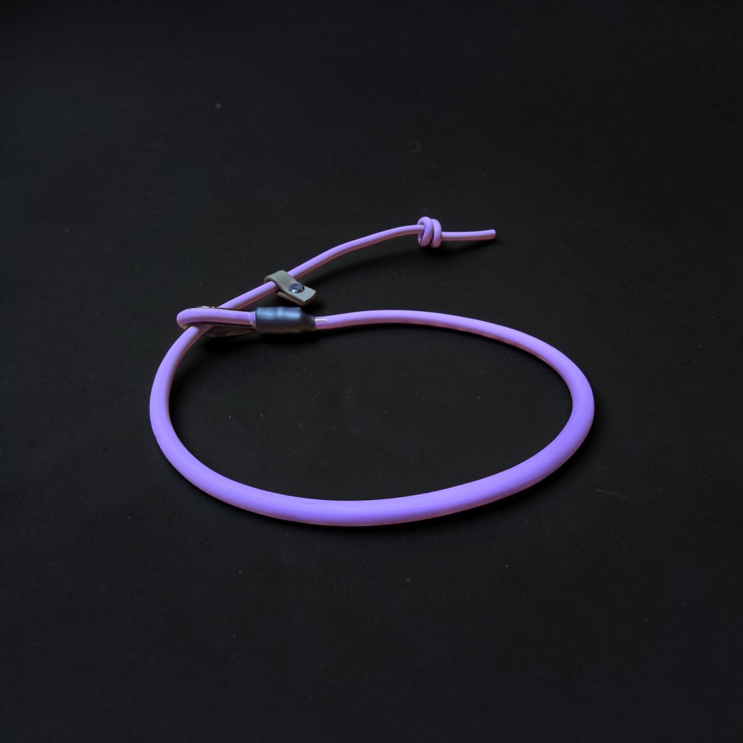 TRAINING SLIP LEAD